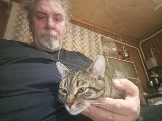  ,   , 60 ,   ,   , c , 