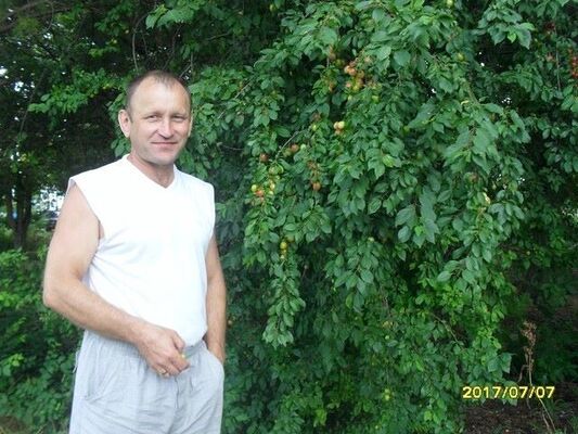  ,   , 53 ,  