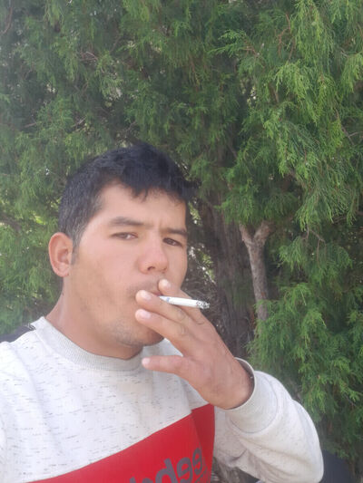 ,   Tagdyr, 33 ,   ,   , c 
