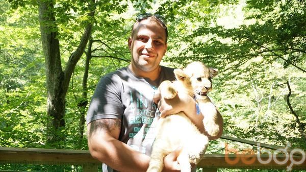  3664819  , 38 ,    -