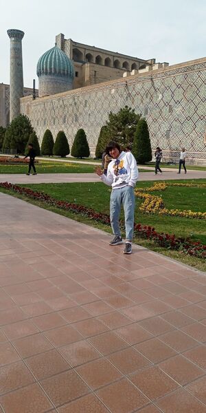   ,   Tema, 26 ,   ,   
