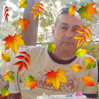  ,   , 47 ,     