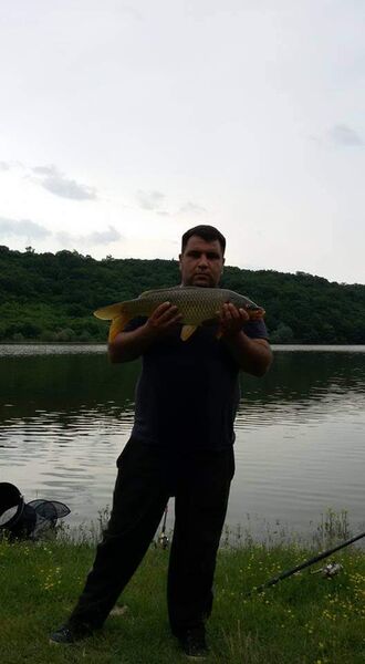  ,   Gio gio, 36 ,   ,   