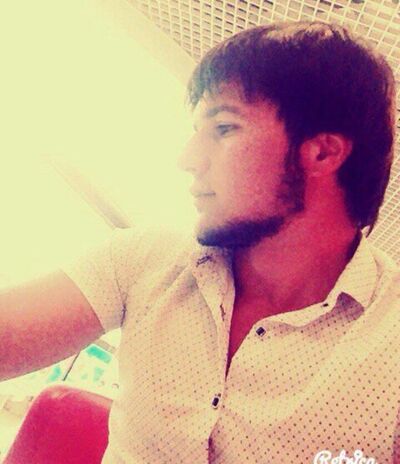  ,   Poma, 37 ,   