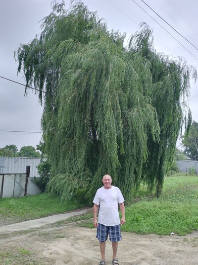  --,   , 66 ,   c 
