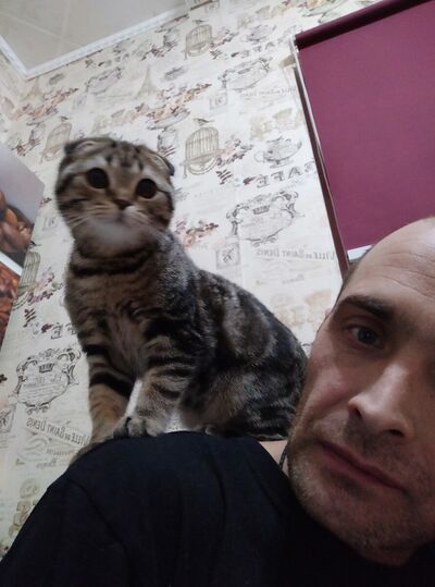  ,   , 43 ,   ,   , c 