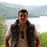  ,   Elmir, 31 ,   ,   , c 