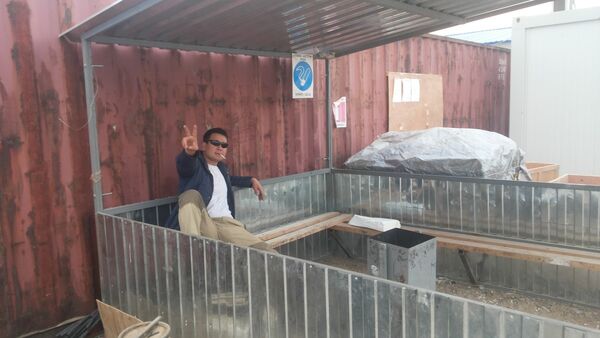  ,   Sheih, 38 ,   , 