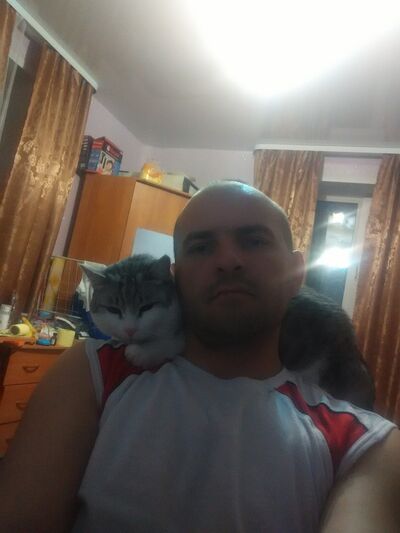  ,   , 41 ,     , c 