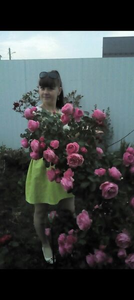  ,   Viktoria, 29 ,     , c 
