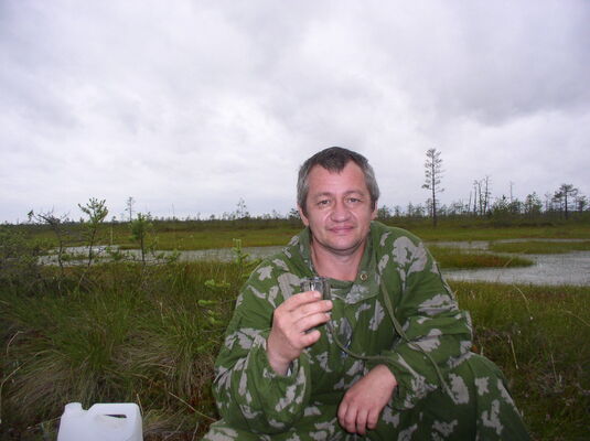  -,   , 50 ,   , 