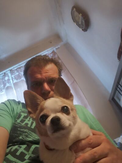  -,   , 49 ,   ,   , c 