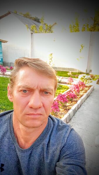  ,   , 51 ,   ,   , c , 