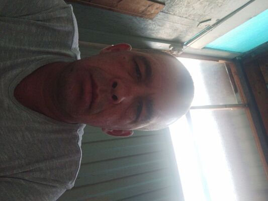  -,   , 42 ,   ,   