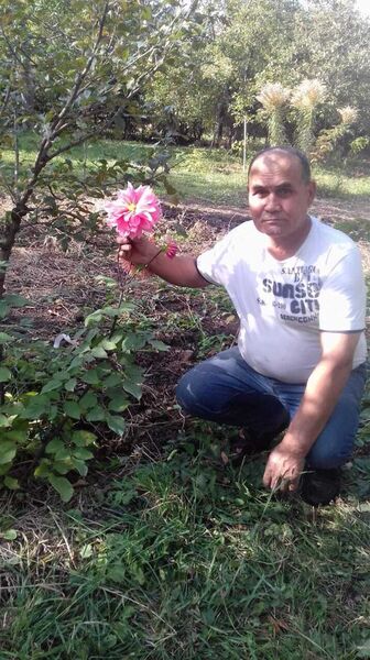  -,   , 53 ,     , c , 