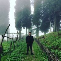  ,   Giorgi, 31 ,   ,   , c 