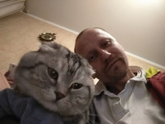 ,   , 54 ,   ,   