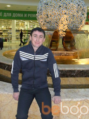  -,   , 38 ,   ,   , c 