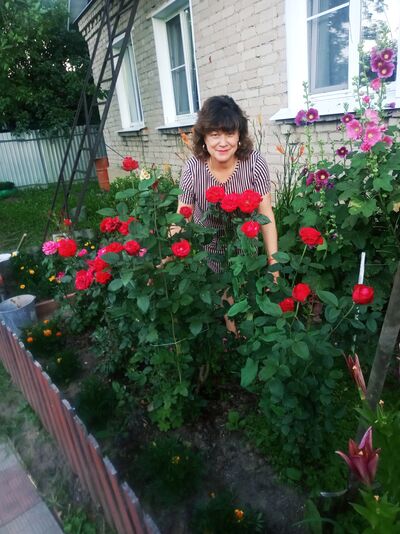  ,   , 62 ,   ,   , c 