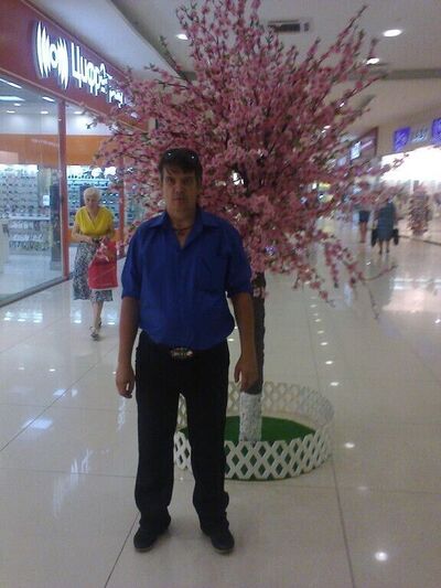  --,   , 55 ,   c 