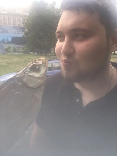  ,   , 29 ,  