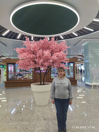  ,   , 44 ,   ,   