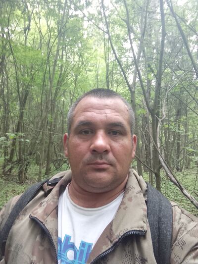  -,   ˸, 42 ,   ,   