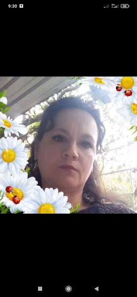  -,   , 55 ,     , 