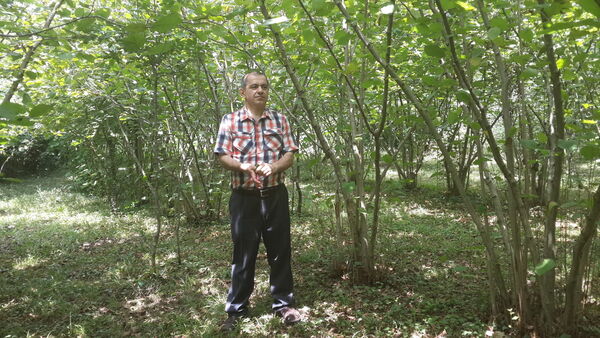  ,   Mamuka, 55 ,   ,   , c 