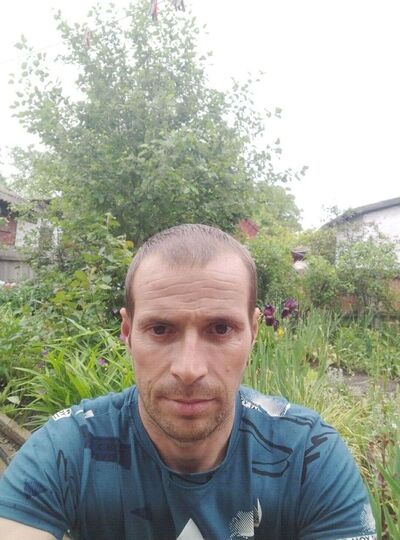  ,   , 41 ,   c 
