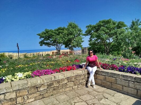  ,   Viola, 50 ,   ,   , c 