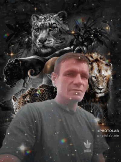 ,   , 49 ,     , c , 