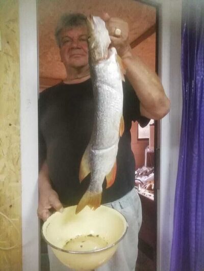  ,   , 55 ,     , c 