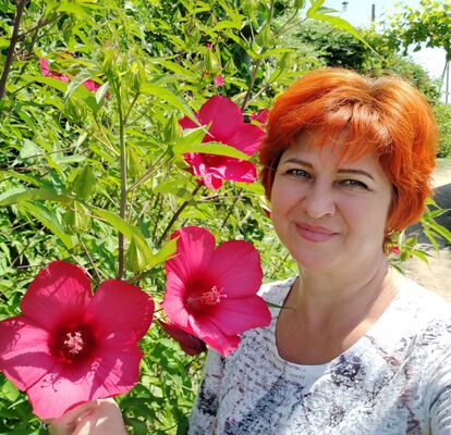  -,   Nata, 53 ,     , c 