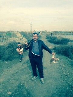  ,   , 44 ,  