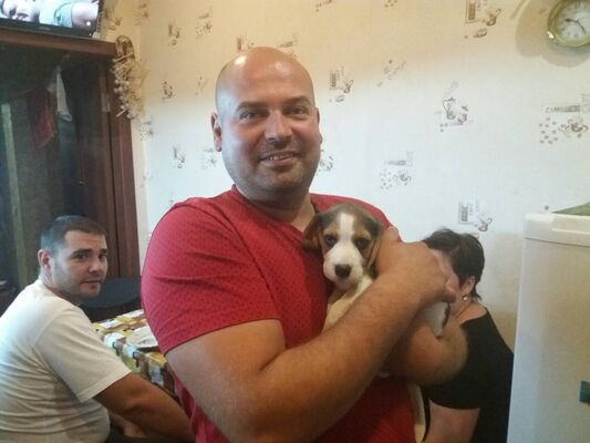  ,   Anton, 43 ,   ,   , c 