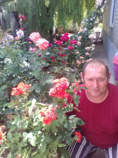  ,   , 56 ,     , c 