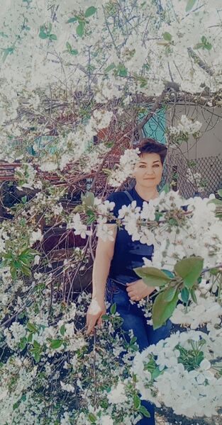  --,   , 48 ,   ,   