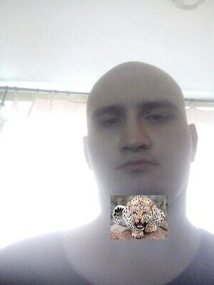  -,   , 38 ,   ,   , c 