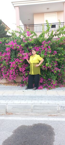  ,   , 54 ,   ,   