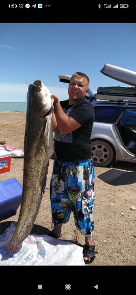  ,   Vyacheslav, 31 ,   ,   
