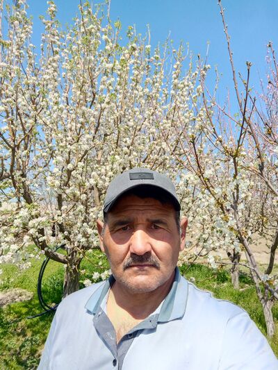  ,   Salom, 44 ,   ,   
