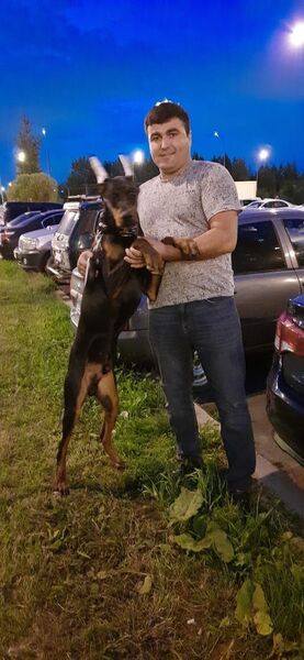  Boyalik,   , 37 ,     , c , 