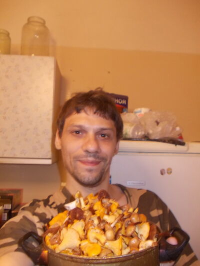  ,   Gull, 45 ,   ,   , c 