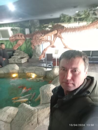  -,   , 43 ,   ,   