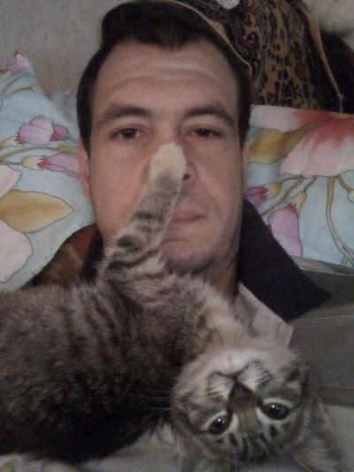  ,   , 35 ,   ,   