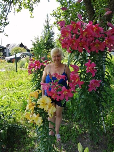  ,   , 58 ,   ,   