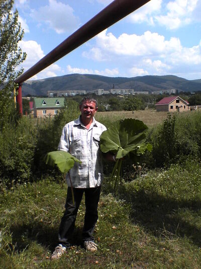  ,   , 58 ,   