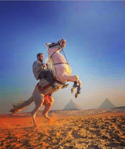  ,   Mazen, 32 ,   ,   