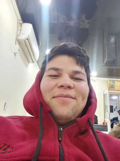  ,   Panda, 24 ,   ,   